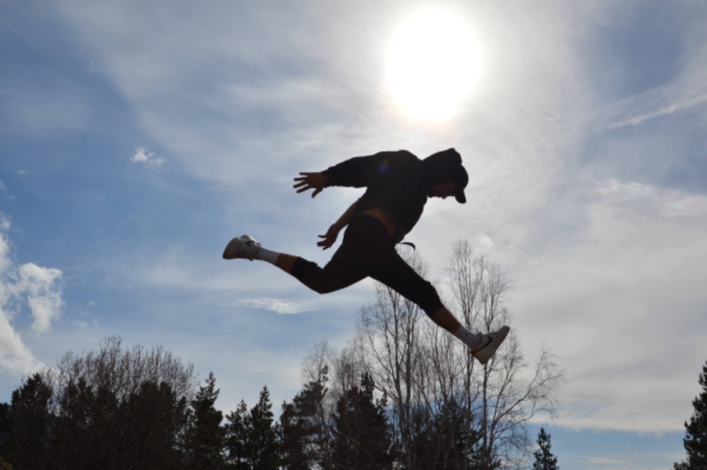 Silhouetted mid-air leap under the sun, pine trees below