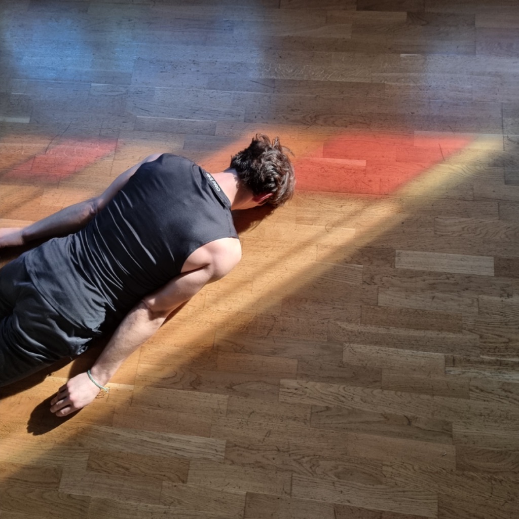 Roman lying on a wooden floor in a beam of coloured light